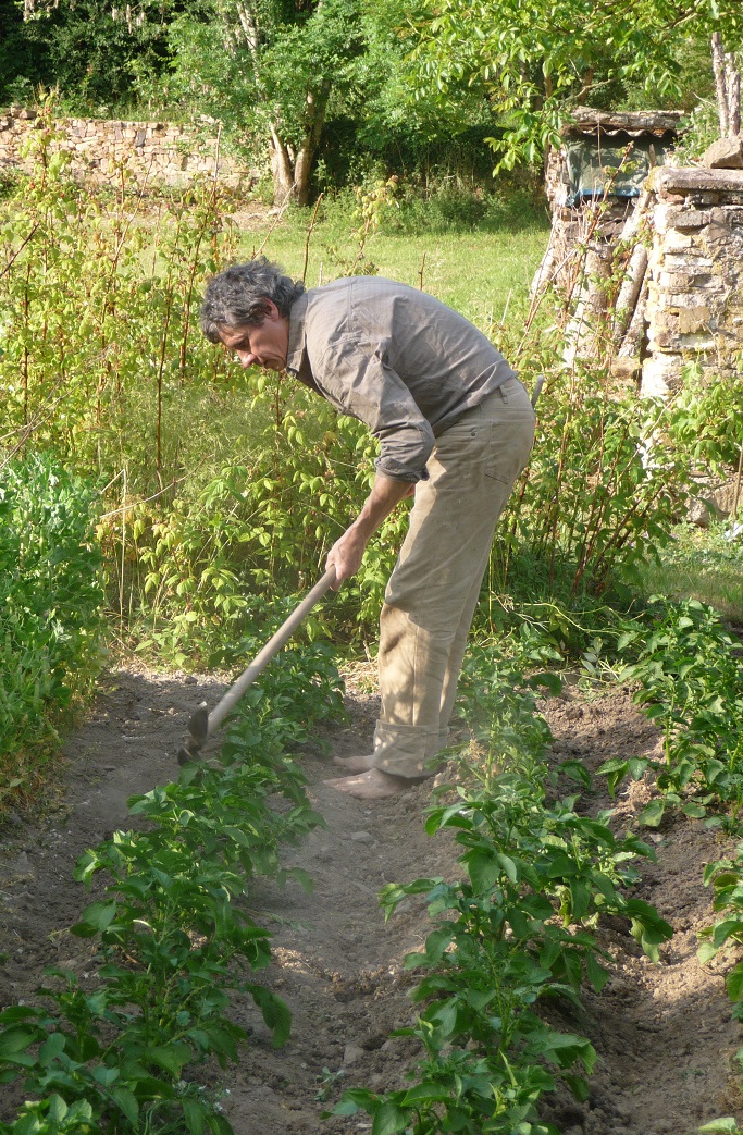 jardinage vivrier