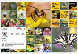 POLLINIS au secours des abeilles !