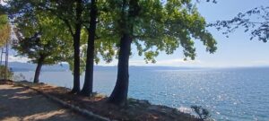 nouvelles d'été nouvelles d'été