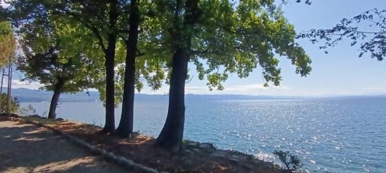 nouvelles d'été