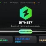 Bitnest