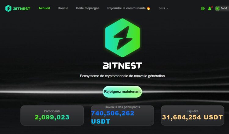 Bitnest