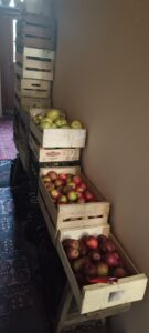 jardin avant l'hiver jardin avant l'hiver