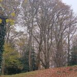 Préparation du sol au jardin avant l'hiver