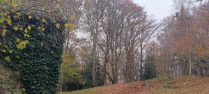 Préparation du sol au jardin avant l’hiver